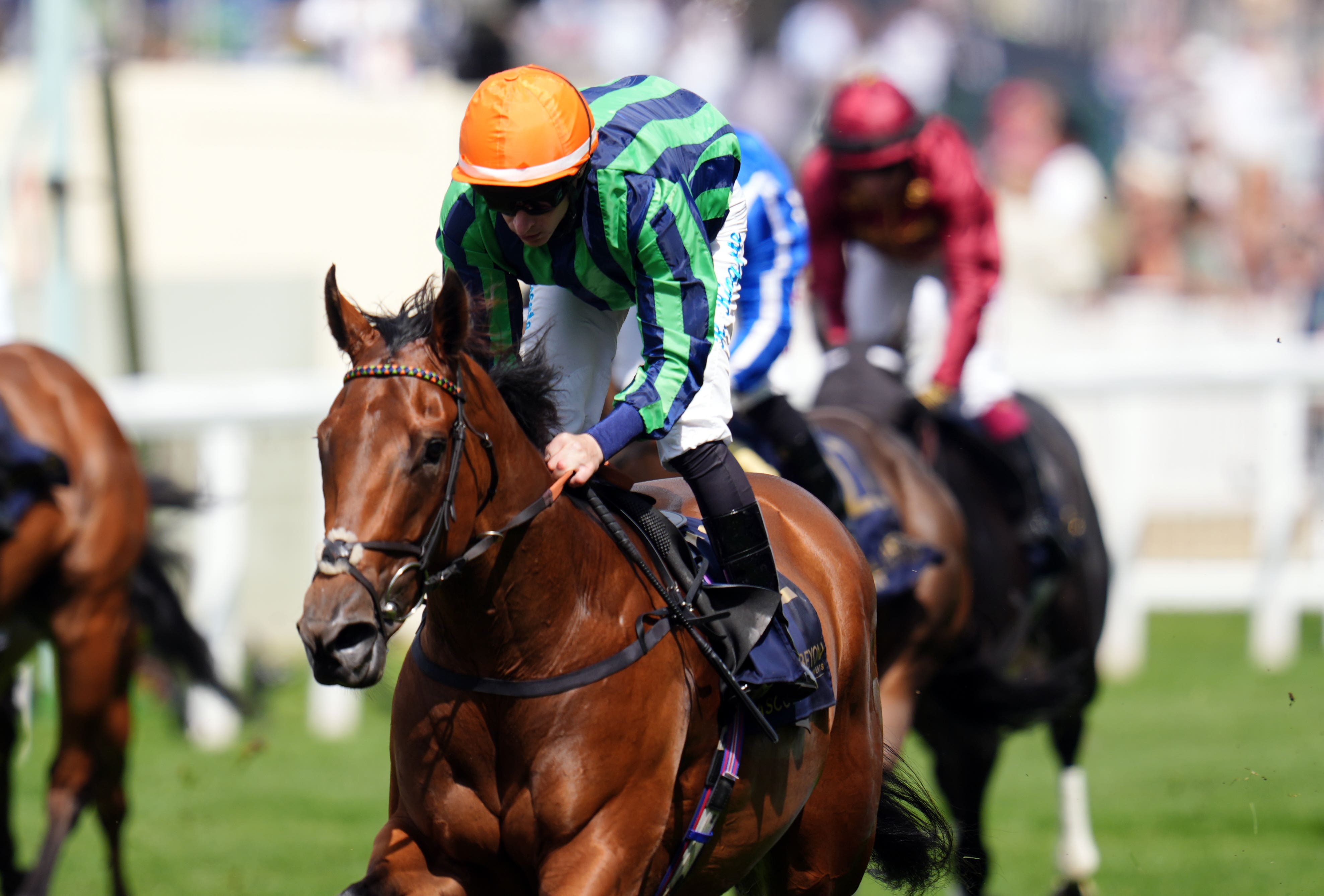 Time For Sandals was a Royal Ascot scorer for Harry Eustace
